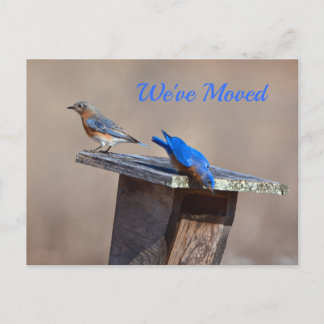 Neue Zuhause-Ankündigung Ankündigungspostkarte