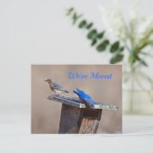 Neue Zuhause-Ankündigung Ankündigungspostkarte (Stehend Vorderseite)