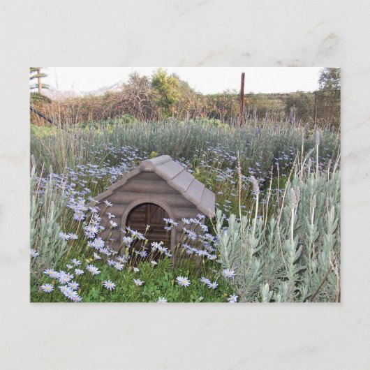 Neue Zuhause Ankündigungspostkarte (Vorderseite)