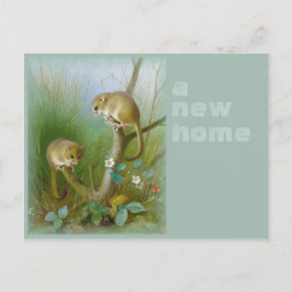 Neue Zuhause CC0112 Archibald Thorburn Dormice Ankündigungspostkarte