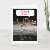 ***NEUE ZUHAUSE*** FLAMINGOS SIND "KLICKIERTER PIN ANKÜNDIGUNG (Vorderseite)