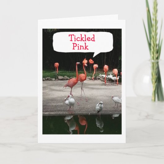 ***NEUE ZUHAUSE*** FLAMINGOS SIND "KLICKIERTER PIN ANKÜNDIGUNG (Vorderseite)