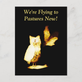 Neue Zuhause-Owls für die Adressenverschiebung Postkarte