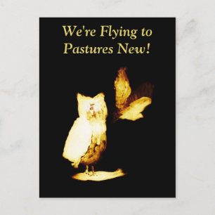 Neue Zuhause-Owls für die Adressenverschiebung Postkarte