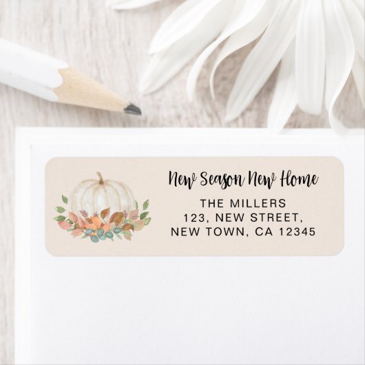 Neue Zuhause Pumpkin-Rücksendeadresse (Insitu)