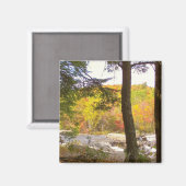 Neuengland Herbst 127 Magnet (Vorderseite/Rückseite)