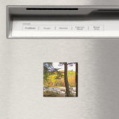 Neuengland Herbst 127 Magnet (In Situ (Geschirrspüler))