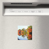 NEUENGLAND MAGNET (In Situ (Geschirrspüler))