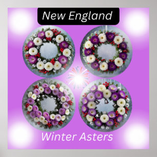 Neuengland Winter Asters Wing Wall Art Poster