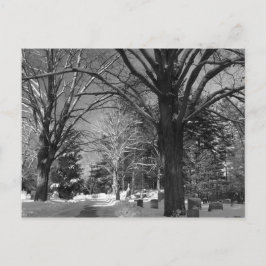 Neuenglands Winter Postkarte