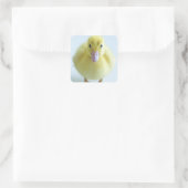 Neuentbeinung Quadratischer Aufkleber (Tasche)