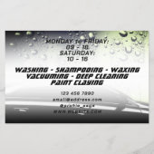 Neuer beruflicher Silberton Flyer (Hinten)