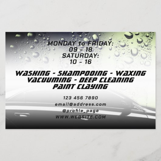 Neuer beruflicher Silberton Flyer (Hinten)