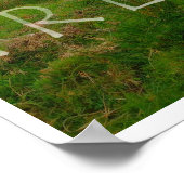 NEUER DRUCK AUS IRLAND GRÜNE UND GRÜNER! POSTER (Ecke)