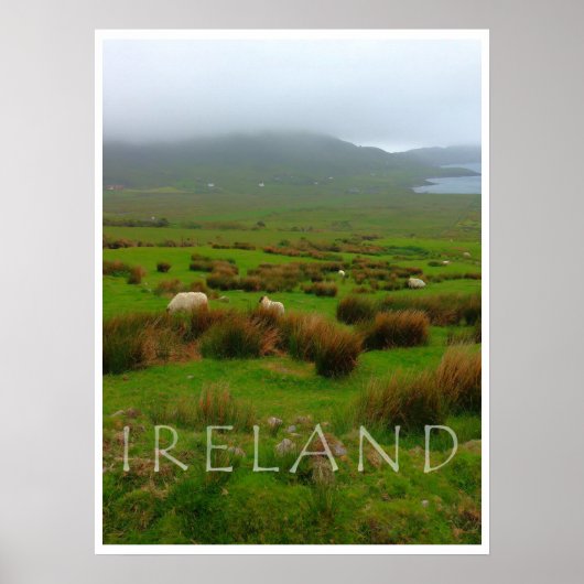 NEUER DRUCK AUS IRLAND GRÜNE UND GRÜNER! POSTER (Vorne)