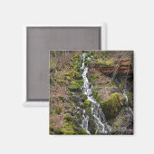 Neuer Frühling.... Magnet (Vorderseite/Rückseite)