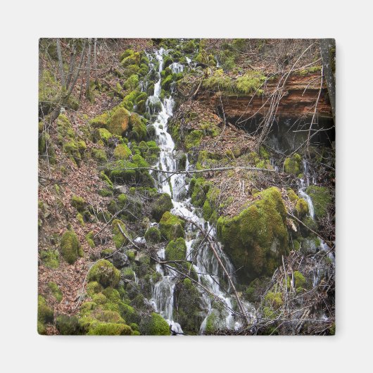 Neuer Frühling.... Magnet (Vorne)