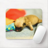 Neuer Geborener Baby Mops Hund Mousepad (Mit Mouse)