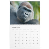 NEUER Gorilla-Kalender 2026 Kalender (Jan 2027)