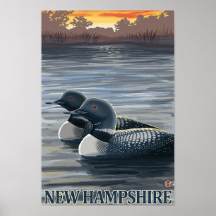 Neuer HampshireCommon Loon Poster