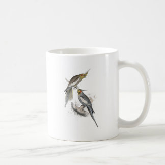 Neuer HollandParrakeet durch Edward Lear Kaffeetasse