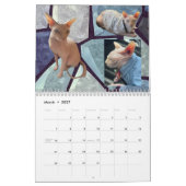 Neuer Kalender 2026 (Mär 2027)