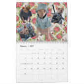 Neuer Kalender 2026 (Feb 2027)