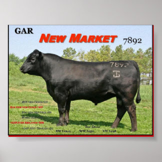 NEUER MARKT POSTER