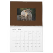 Neuer Niedlicher Kuhkalender Kalender (Jan 2026)