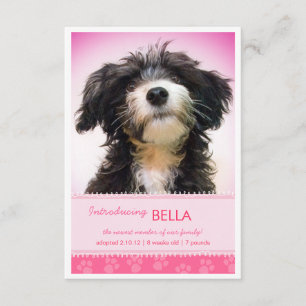 Neuer Pink-Pink-Paw-Druck für die Ankündigung von 