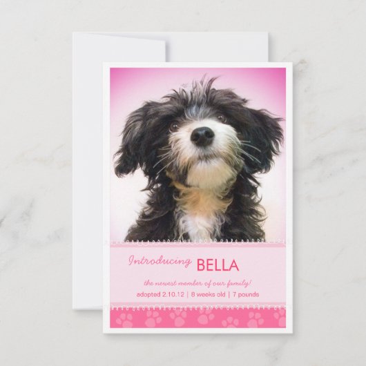 Neuer Pink-Pink-Paw-Druck für die Ankündigung von (Vorderseite)