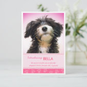 Neuer Pink-Pink-Paw-Druck für die Ankündigung von (Stehend Vorderseite)