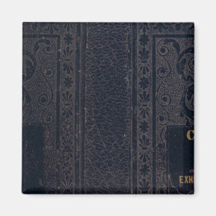 Neuer Querschnitt des Staat Illinois 3 Magnet