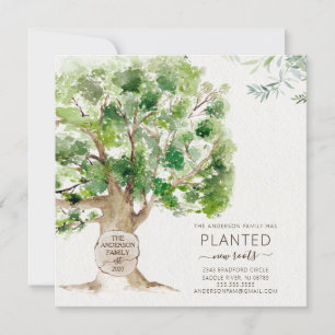 Neuer Roots Oak Tree Moving Ankündigung