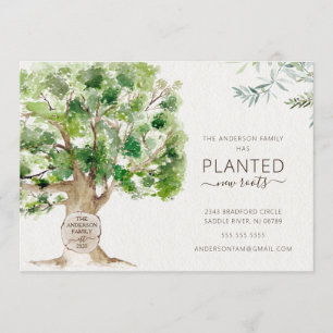 Neuer Roots Oak Tree Moving Ankündigung