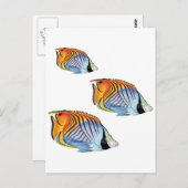 NEUER SCHULTAG POSTKARTE (Vorne/Hinten)