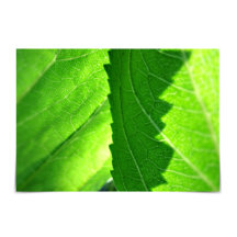 "Neuer Start" Neue "Job Green Leaf Card"