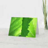 "Neuer Start" Neue "Job Green Leaf Card" Karte (Vorderseite)