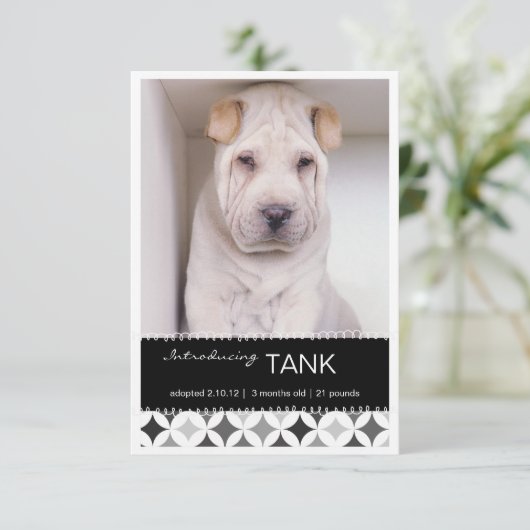 Neuer Termin für die Runden B&W des Fotos Ankündigung (Stehend Vorderseite)