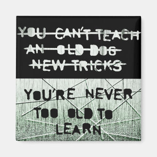 Neuer Trickmagnet Magnet