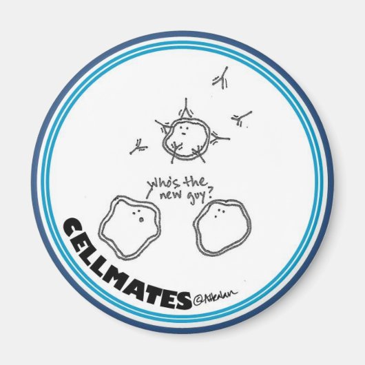 Neuer Typ-Magnet Magnet (Vorne)