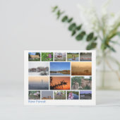 Neuer Wald - Mehrbild 2 Postkarte (Stehend Vorderseite)