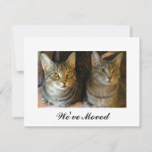 Neuer Zuhause Tabby Cats Moving Ankündigung (Vorderseite)