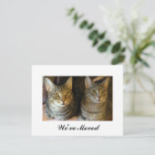 Neuer Zuhause Tabby Cats Moving Ankündigung (Stehend Vorderseite)