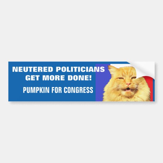 Neuere Politiker werden besser erledigt - Cat Meme Autoaufkleber (Vorne)