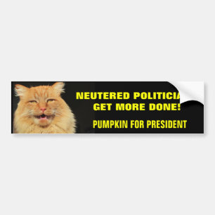 Neuere Politiker werden durch Elect Pumpkin besser Autoaufkleber