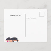 Neuerscheinung von Katzen Ankündigungspostkarte (Rückseite)