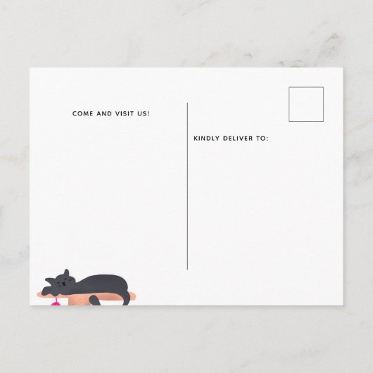 Neuerscheinung von Katzen Ankündigungspostkarte (Rückseite)