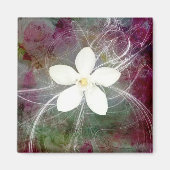 Neues 5 großes Square Magnet (Vorne)