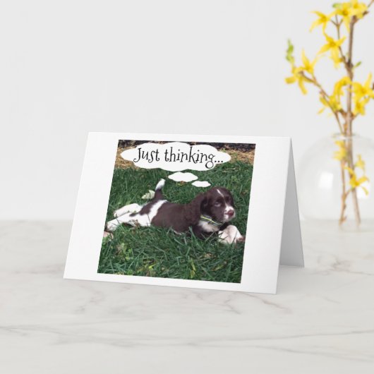 "NEUES ABENTEUER IM LEBEN" VIEL GLÜCK SAGT SPANIEL KARTE (Gelbe Blume)